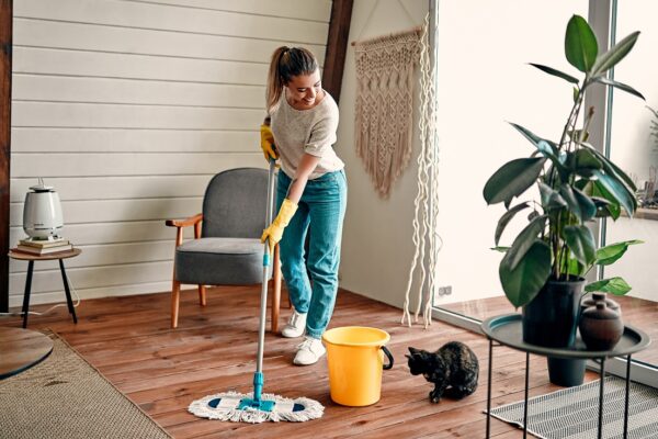 A Complete Guide to Cleaning Hardwood Timber Floors