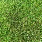 Exquisite Turf Synthetic Turf Kimberly Cool Touch