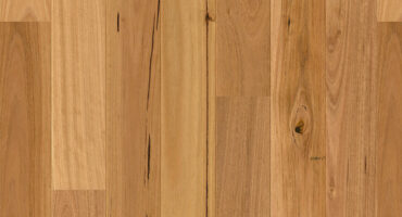 Premium Floors Quick-Step Amato Engineered Timber Blackbutt