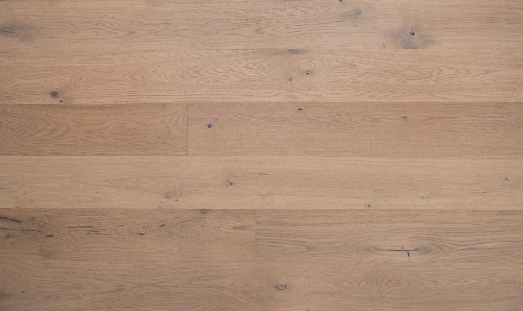 Eclipse Divine Engineered Timber Flooring Colebatch - Online Flooring Store
