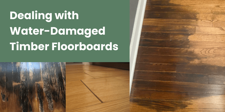 Header image for a blog titled 'Dealing with Water-Damaged Timber Floorboards,' featuring examples of timber flooring damage, including discoloration, gaps, and mold.