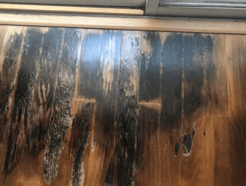 Timber floorboards with visible mould growth and blackened areas from severe water damage.